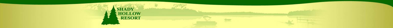 header-logo-graphic