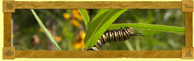 header2-nature header2-nature
