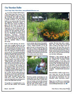 Our Shoreline  Restoration
Project PDF - Page 3